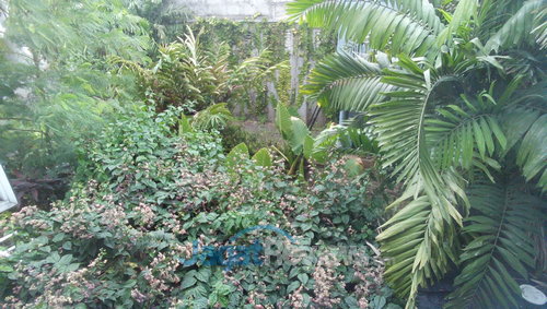 Oppo Find Mirror - Hasil Kamera Depan Outdoor