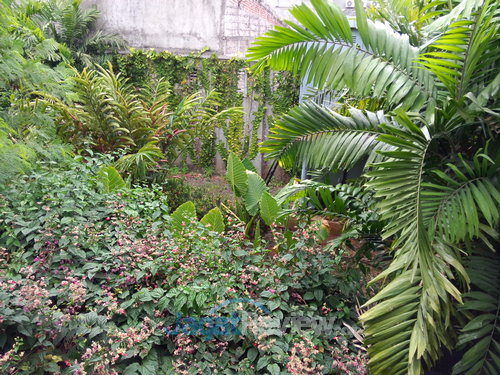 Oppo Find Mirror - Hasil Kamera Utama Outdoor