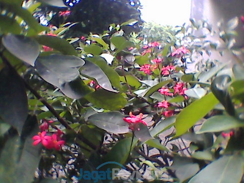 Kamera Depan (outdoor)