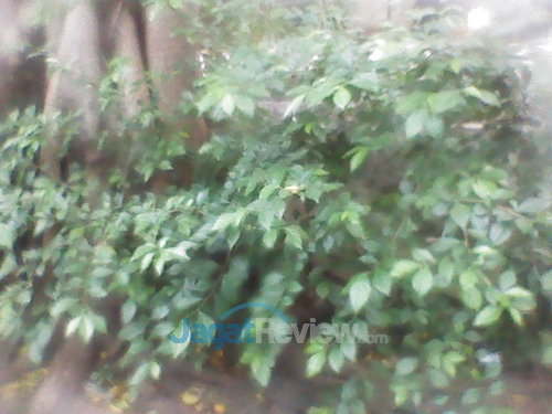 Review Lenovo A706: Smartphone Quad Core Murah dengan Dolby Digital 5 Lenovo A706 _ Kamera Depan outdoor