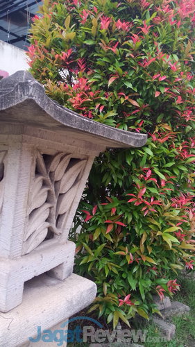 Review Oppo Find Way S: Smartphone Android Kencang dengan Desain Premium 8 Hasil foto outdoor kamera belakang