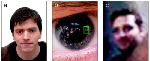 Pupil