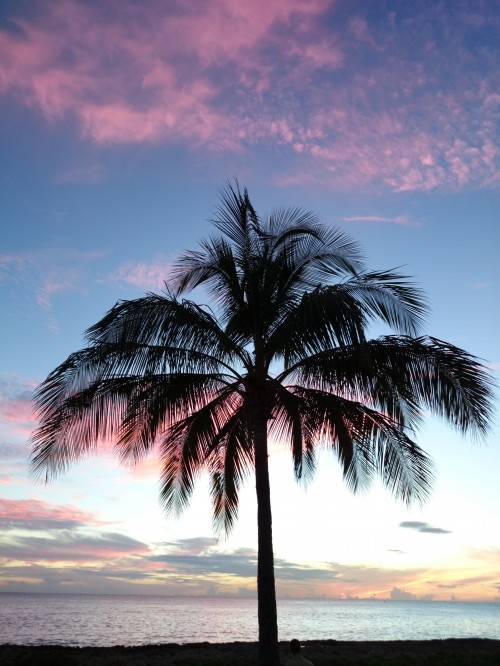 Review Sony Xperia Z1: Smartphone Android Tahan Air Terbaik 5 Contoh penangkapan gambar pada kondisi cahaya rendah