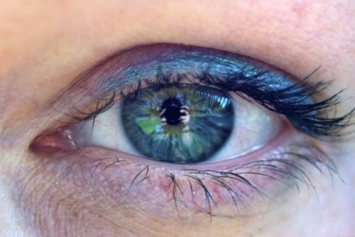 pupil 2