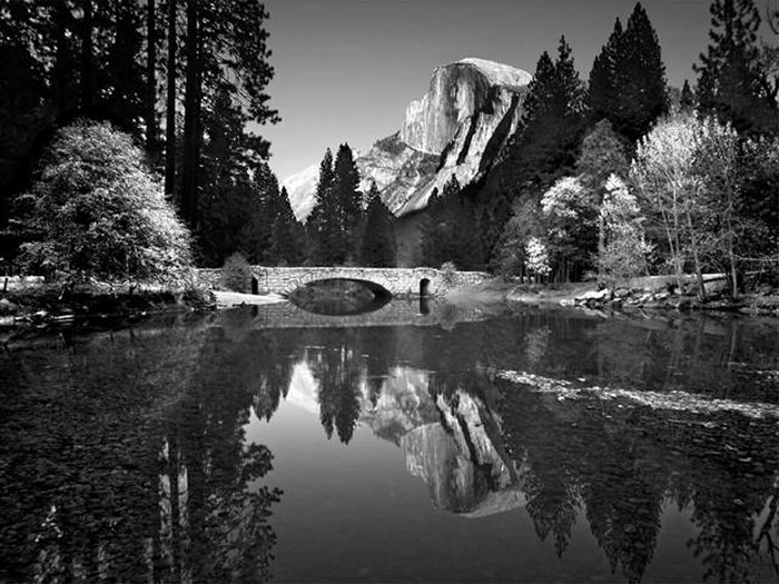 Sony Kembangkan Kamera Black and White 10 sony cam