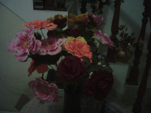 Review Axioo PICOpad 7 3G: Tablet Android Lokal dengan Body Tipis 8 Hasil Kamera Belakang Axioo PICOpad 7 3G (2)