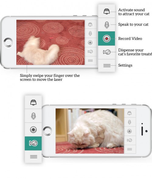 Kittyo Bermain Dengan Kucing Peliharaan Tercinta Melalui Smartphone 4 Kittyo 1
