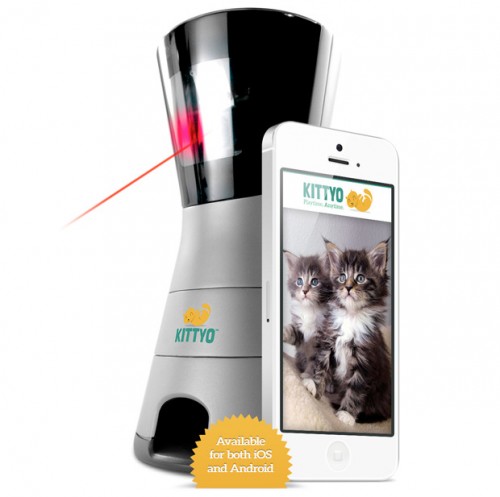 Kittyo Bermain Dengan Kucing Peliharaan Tercinta Melalui Smartphone 3 Kittyo 3