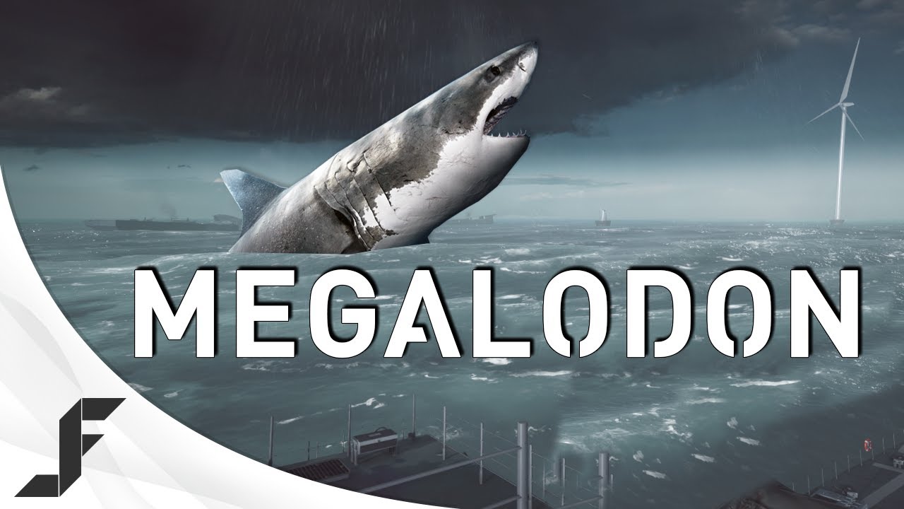 Megalodon Muncul di Battlefield 4! 12