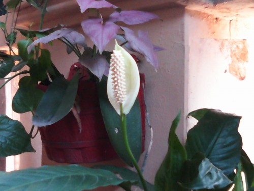 Review Smartphone Android Acer Liquid E3: Sang Penerus dengan Layar 720p dan Kamera 13MP 8 IMG_20140523_101328