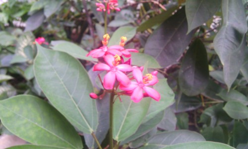 IMG_20140627_122455[1]