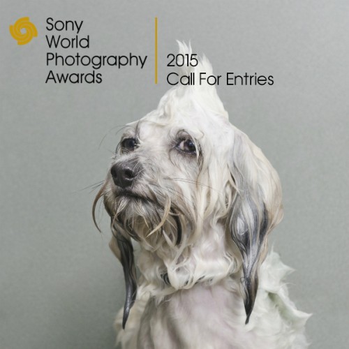 Pendaftaran Sony World Photography Awards Resmi Dibuka 1 Sophie Gamand - France