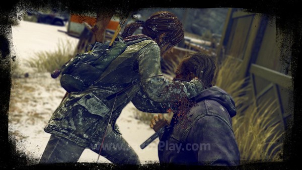 The Last of Us Photo Mode 1