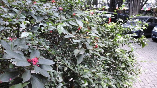 Review Samsung Galaxy Tab 4 8.0: Tablet Android KitKat 8 Inci yang Kaya Fitur 7 20140822_114539