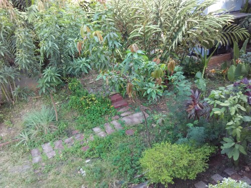 Review Xiaomi Redmi 1s: Smartphone Android Kencang dengan Harga Murah 2 Hasil Kamera Utama Outdoor