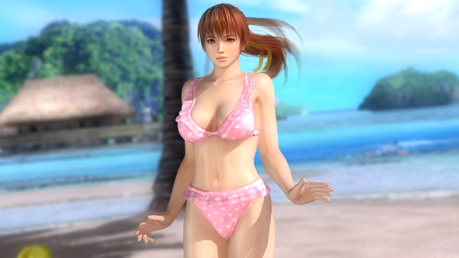 Rumor Dead or Alive 5: Last Round versi PC Kian Menguat! 3 doa 5