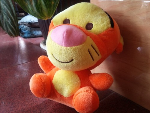 Hasil Kamera belakang Galaxy Grand Prime (3)