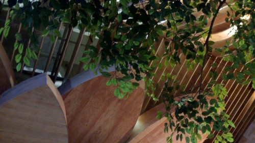 Hasil kamera belakang Acer Liquid Jade (1)