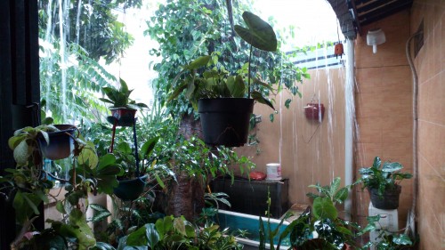 Hasil kamera belakang Acer Liquid Jade (5)