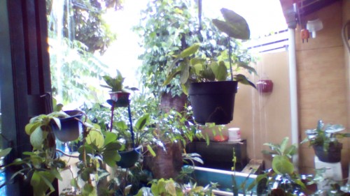 Hasil kamera depan Acer Liquid jade (1)