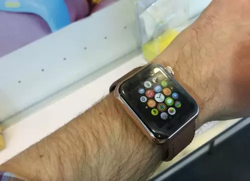 Prototipe Apple Watch ‘Palsu’ Laku Terjual di eBay 1 applewatchces