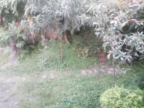 AndroidOne - Evercoss - Kamera Depan Outdoor