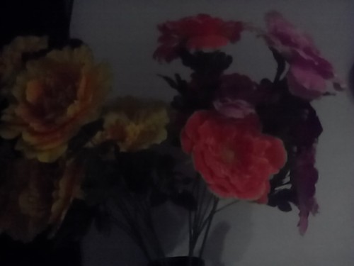 Hasil Kamera Treq Q1 (4)