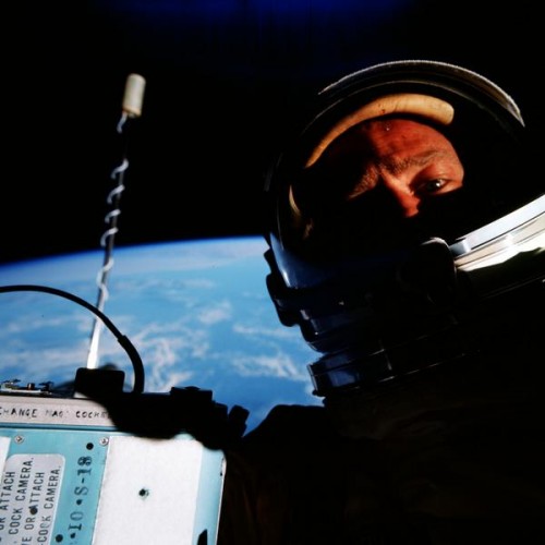 Foto Selfie Luar Angkasa Buzz Aldrin Dilelang 1 buzz