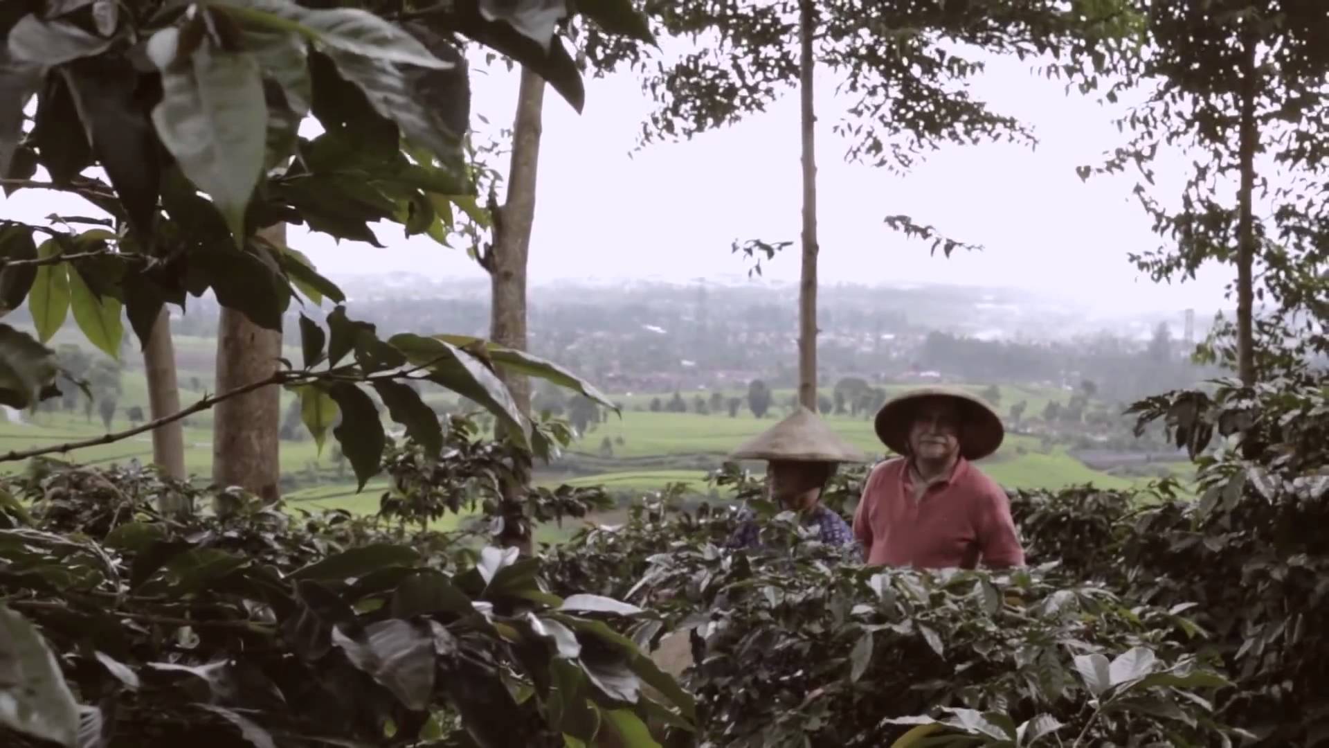 Review Film Filosofi Kopi: Pecinta Kopi Pasti Menikmati 3 2