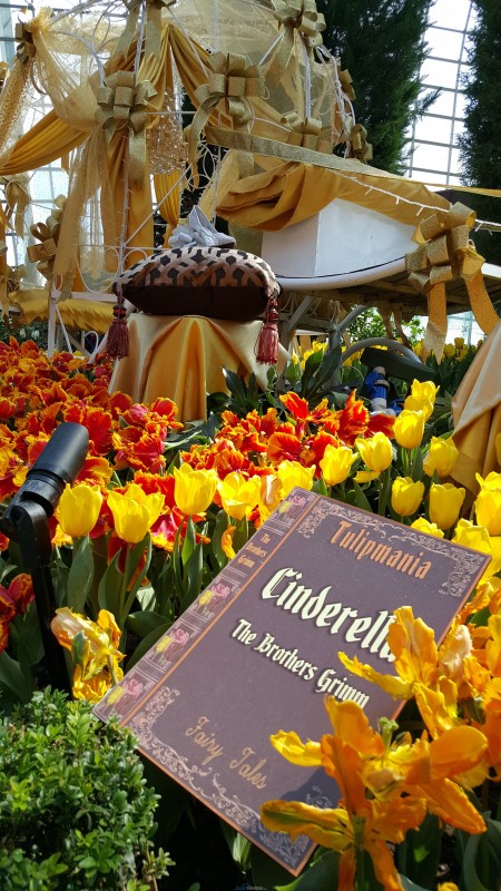 Hasil Kamera Samsung Galaxy S6 (10)