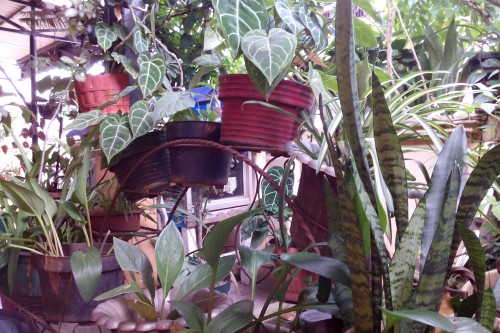 Review Advan Barca Tab: Tablet Android Octa-Core untuk Fans FC Barcelona 5 Hasil Kamera Advan Barca Tab