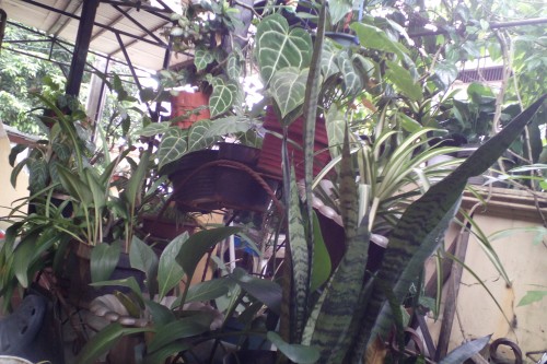 Review Advan Barca Tab: Tablet Android Octa-Core untuk Fans FC Barcelona 8 Hasil Kamera Advan Barca Tab (4)