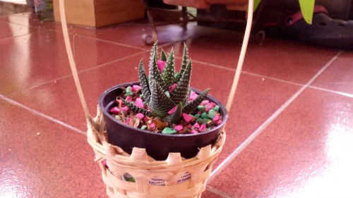 Review Advan Barca Tab: Tablet Android Octa-Core untuk Fans FC Barcelona 6 Hasil Kamera Advan Barca Tab (2)