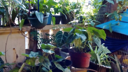 Review Sony Xperia E4 Dual: Smartphone Android Dual-SIM untuk Anak Muda 6 DSC_0006