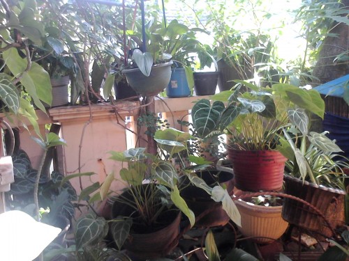 Review Sony Xperia E4 Dual: Smartphone Android Dual-SIM untuk Anak Muda 8 DSC_0007