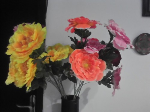 Review Sony Xperia E4 Dual: Smartphone Android Dual-SIM untuk Anak Muda 9 DSC_0009