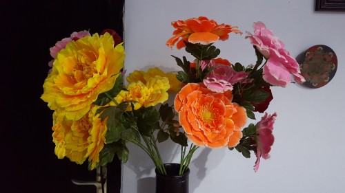 Hasil foto kamera belakang Galaxy S6 (7)