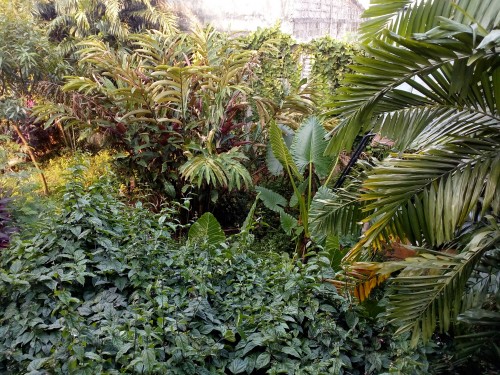 Lenovo A7000 - Hasil Kamera Utama Outdoor