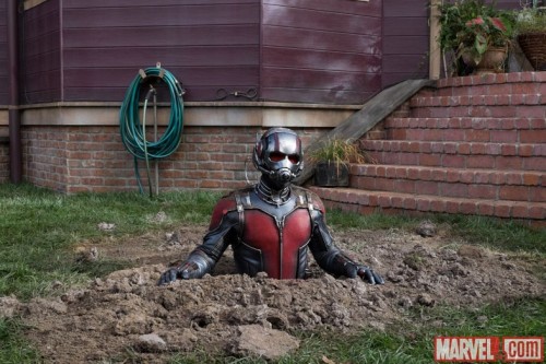 Marvel Pamerkan Ragam Foto Baru untuk Ant-Man-Movie-Ant-Man-Gets-Stuck
