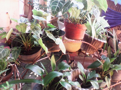 Review SpeedUp Pad Pop: Tablet Android 3G KitKat Murah 3 IMG_20150527_084943