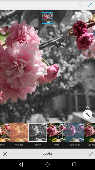 Adobe Luncurkan Empat Aplikasi Android Baru 1 adobe -app