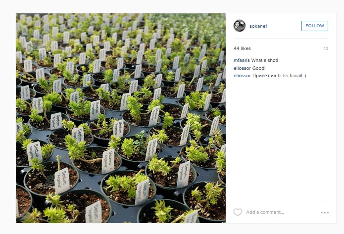Instagram Kini Bisa Unggah Foto Resolusi Tinggi 3 112
