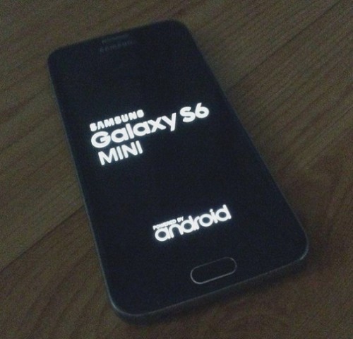 S6 Mini