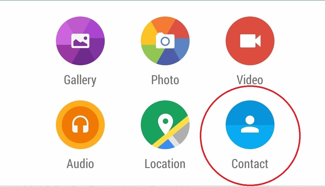 WA Kirim Kontak Feat