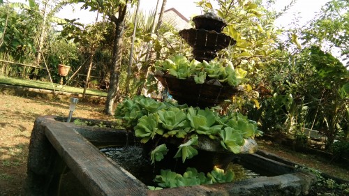 Xiaomi Mi 4i - Kamera Depan Outdoor