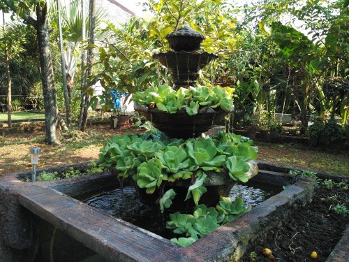 Xiaomi Mi 4i - Kamera Utama Outdoor