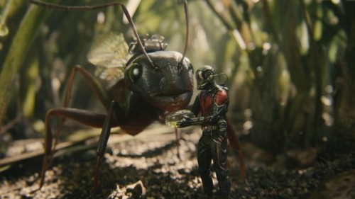 Review Film Ant-Man: Hal Besar Dimulai dari Yang  ant-man-feeding-ant-620x349