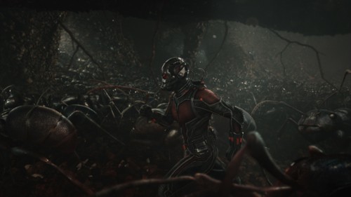 Review Film Ant-Man: Hal Besar Dimulai dari Yang  arts_flicks4-1_12