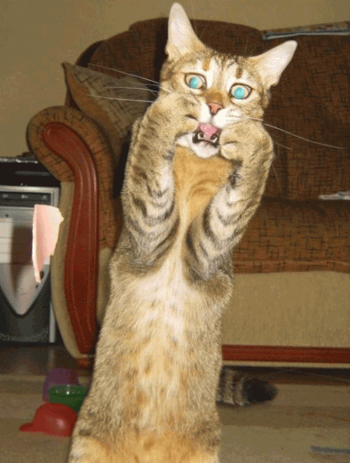 Cara Membaca Nama VGA Gaming Desktop 3 Freakinn Easy!