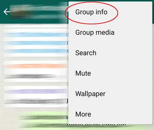 Tips WhatsApp: Mengubah Grup Icon 1 grup info 01